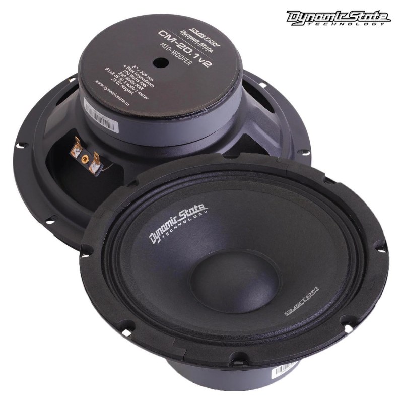 Dynamic State Custom Series CM-20.1v2 4Ом